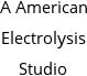 A American Electrolysis Studio