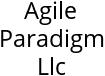 Agile Paradigm Llc