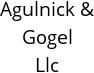 Agulnick & Gogel Llc