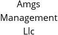 Amgs Management Llc