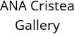 ANA Cristea Gallery