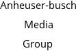 Anheuser-busch Media Group