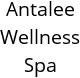 Antalee Wellness Spa