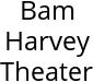 Bam Harvey Theater