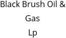 Black Brush Oil & Gas Lp