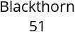 Blackthorn 51