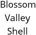 Blossom Valley Shell