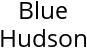 Blue Hudson