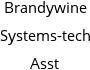 Brandywine Systems-tech Asst