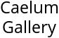 Caelum Gallery