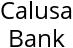 Calusa Bank