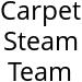 Carpet Steam Team