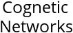 Cognetic Networks