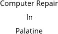 Computer Repair In Palatine