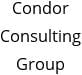 Condor Consulting Group