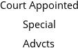 Court Appointed Special Advcts