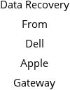 Data Recovery From Dell Apple Gateway