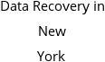 Data Recovery in New York