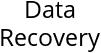 Data Recovery