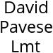 David Pavese Lmt