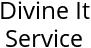 Divine It Service