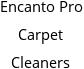 Encanto Pro Carpet Cleaners