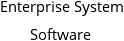 Enterprise System Software