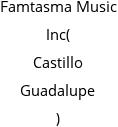 Famtasma Music Inc( Castillo Guadalupe )