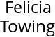 Felicia Towing