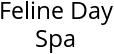 Feline Day Spa