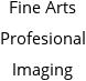 Fine Arts Profesional Imaging