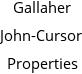 Gallaher John-Cursor Properties