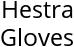 Hestra Gloves