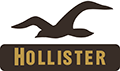 Hollister 