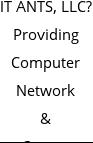 IT ANTS, LLC? Providing Computer Network & Server Support