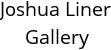 Joshua Liner Gallery