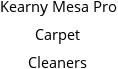 Kearny Mesa Pro Carpet Cleaners