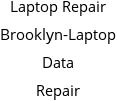 Laptop Repair Brooklyn-Laptop Data Repair