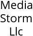 Media Storm Llc