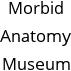 Morbid Anatomy Museum