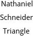 Nathaniel Schneider Triangle