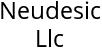 Neudesic Llc