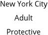 New York City Adult Protective