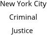 New York City Criminal Justice