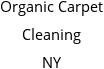 Organic Carpet Cleaning NY