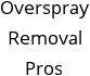 Overspray Removal Pros