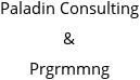 Paladin Consulting & Prgrmmng