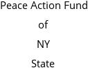 Peace Action Fund of NY State