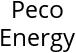 Peco Energy