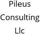 Pileus Consulting Llc